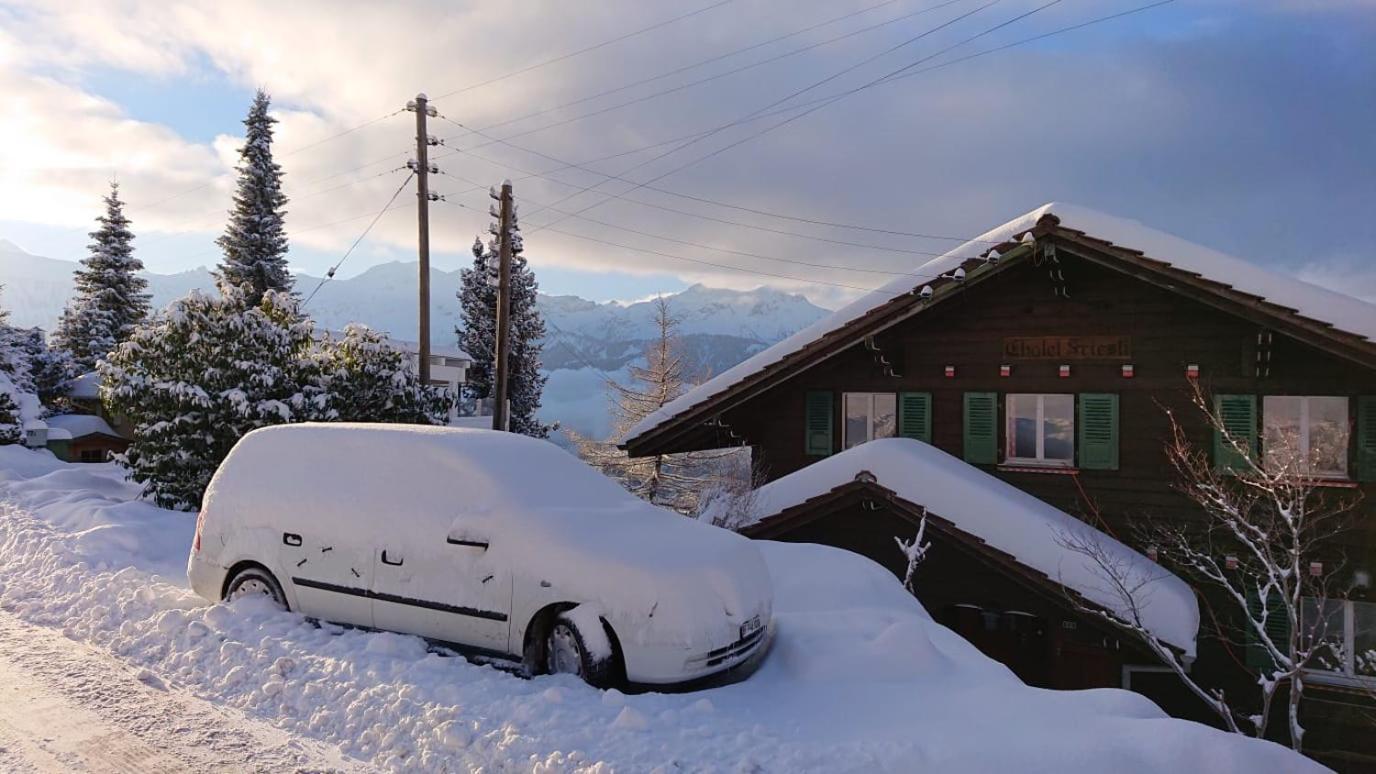 Chalet Friesli Beatenberg Eksteriør bilde